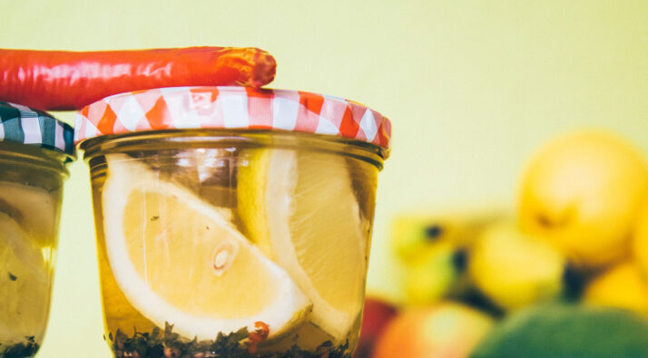 alimentos fermentados pni