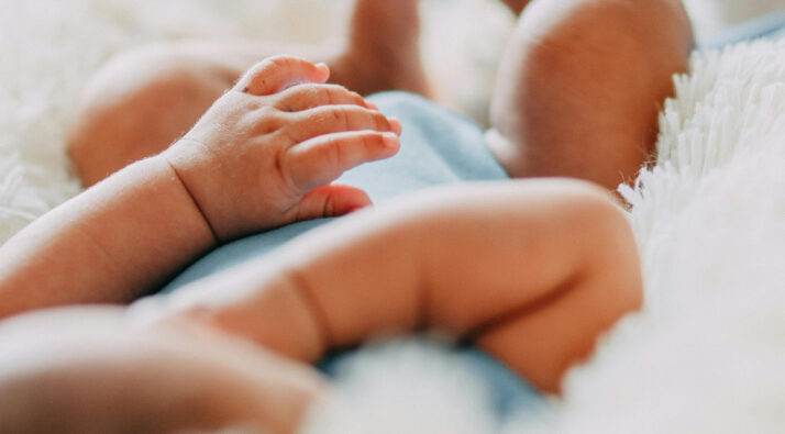 alergias gestante gestación bebe pni
