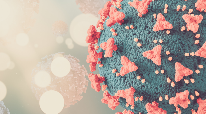 virus del papiloma humano vph pni