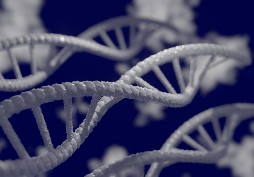 pni y epigenetica