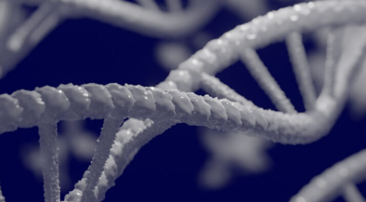pni y epigenetica
