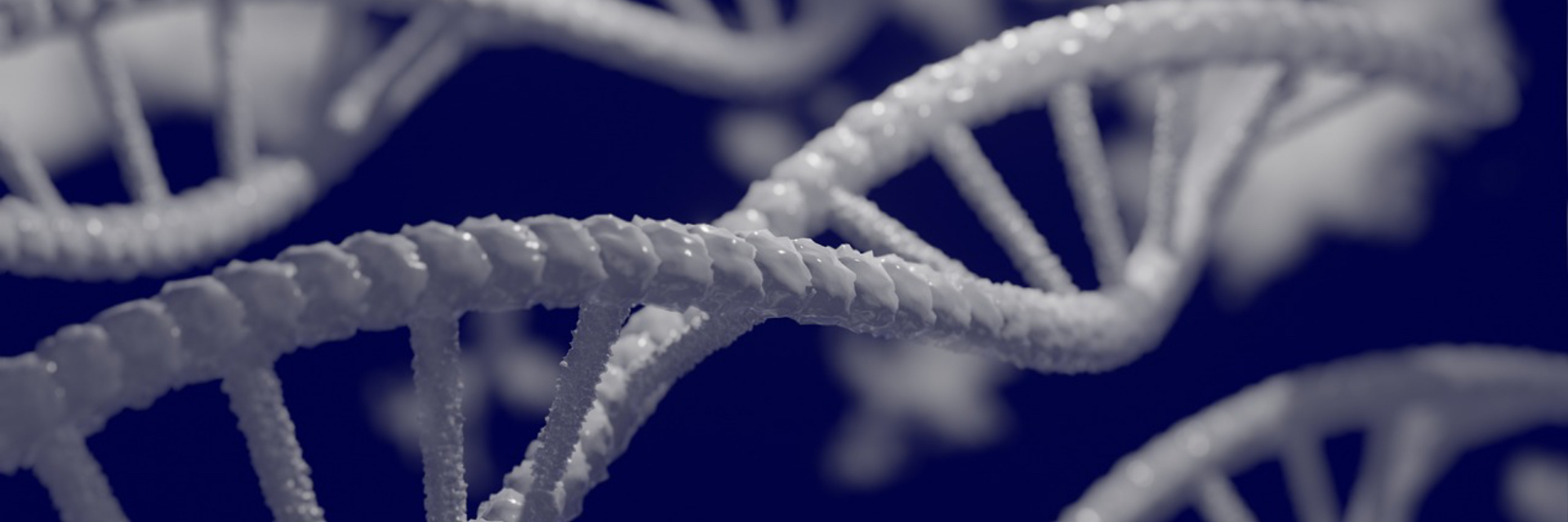  Epigenética y psiconeuroinmunología, el futuro para la salud integrativa 