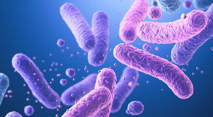 microbiota mejor formación