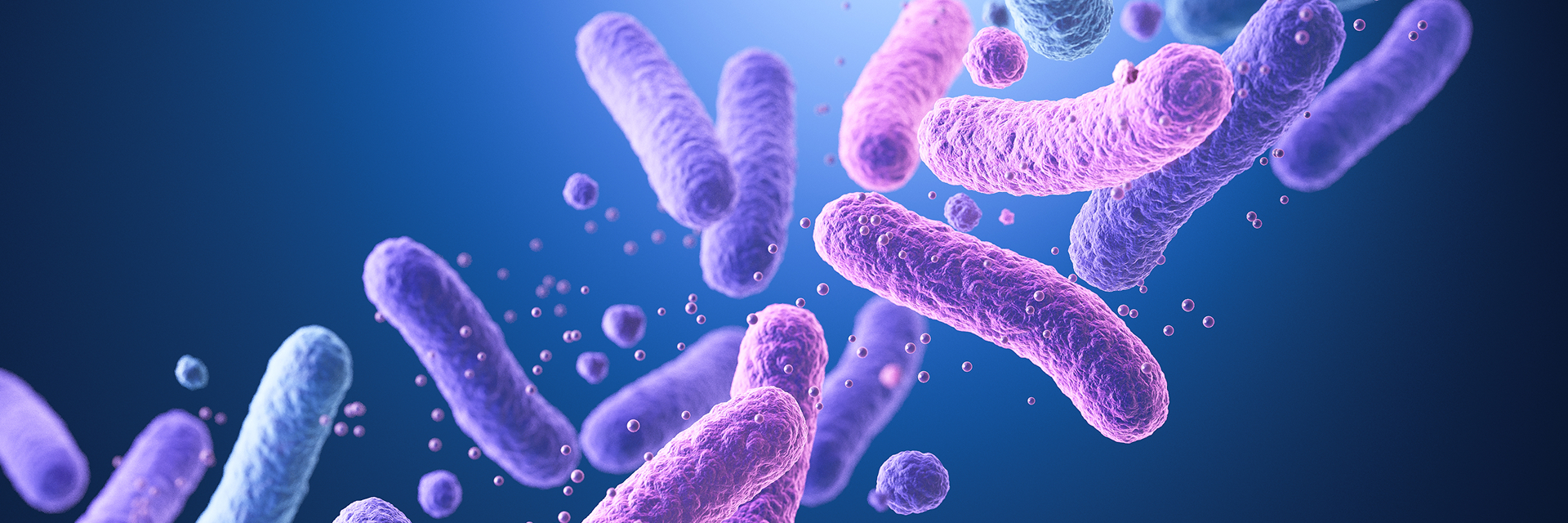 La mejor formación sobre microbiota para profesionales de la salud