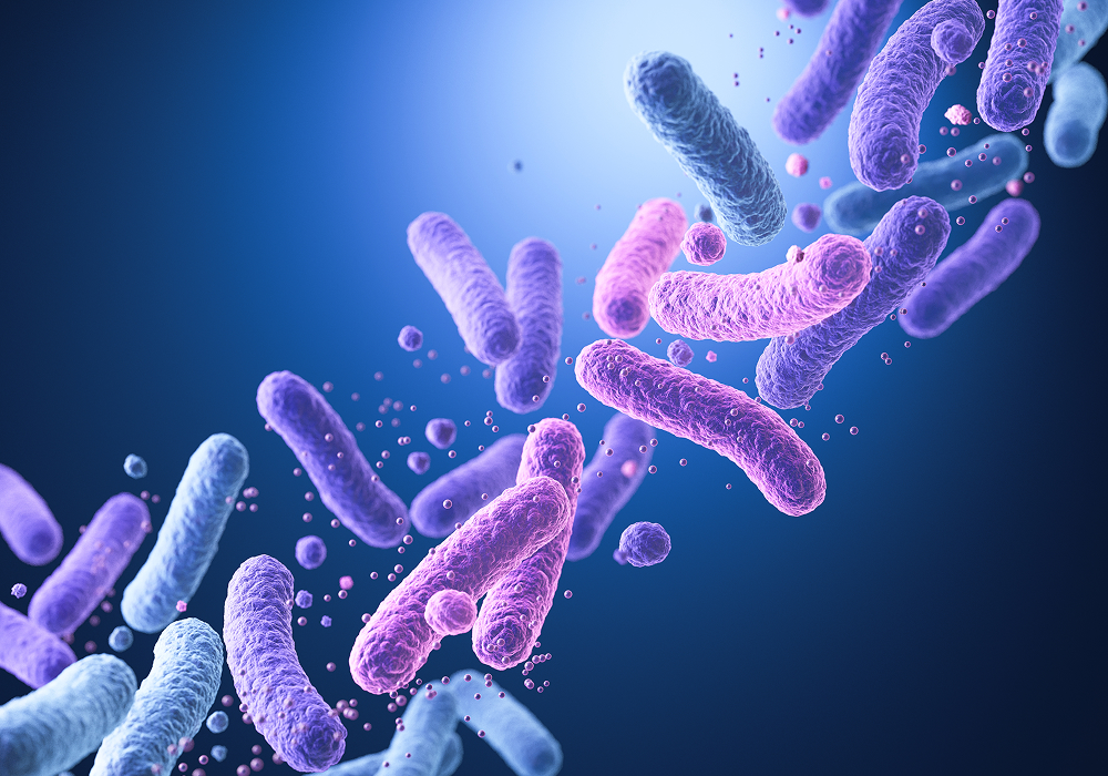 microbiota mejor formación