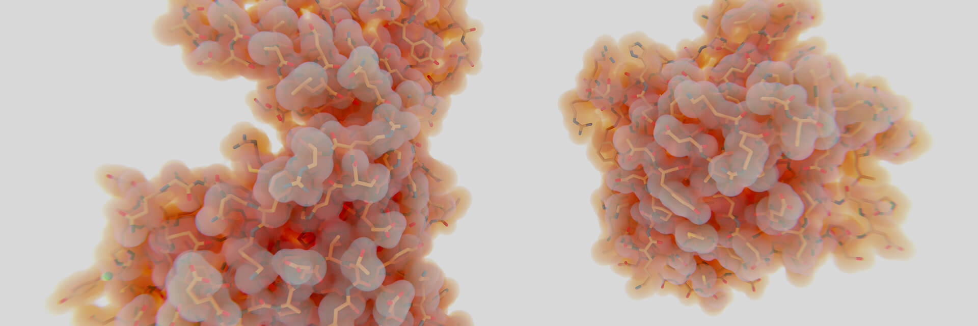  ¿Qué es la vía AMPK? Clave para el metabolismo desde la perspectiva de la PNI 